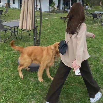 奥卡万戈：生命的洪流